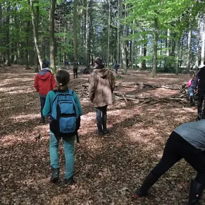 Kinder gehen durch einen Buchenwald