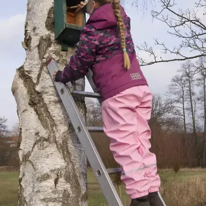 Ein Mädchen auf einer Leiter reinigt einen geöffneten Nistkasten