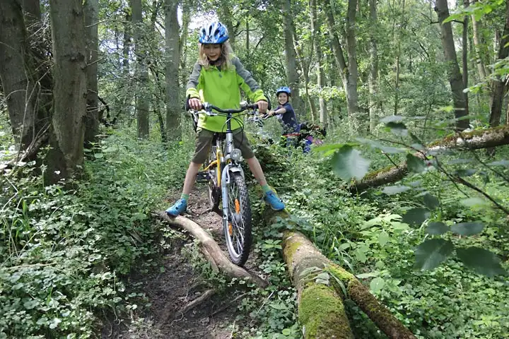 Kind mit Fahrrad überquert Baumstamm